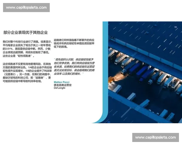 以创新驱动为核心推动力,探索行业领跑者的快速崛起与赶超竞争之道 以创新驱动为核心推动力,探索行业领跑者的快速崛起与赶超竞争之道