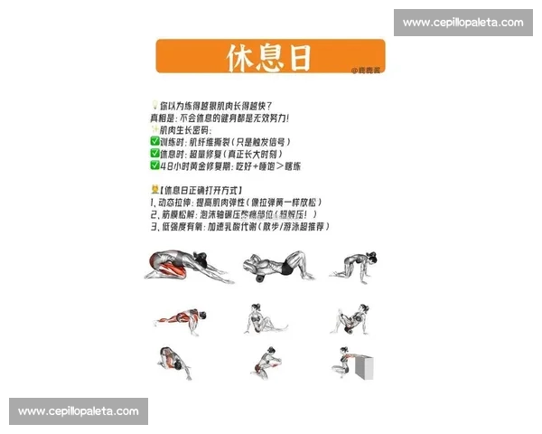 全新挑战:仰卧比赛中的体能极限与技巧对决分析 全新挑战:仰卧比赛中的体能极限与技巧对决分析