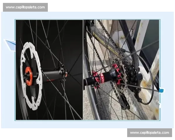 公路自行车比赛专用车设计与性能优化研究探讨