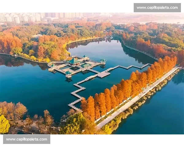 合肥摄影比赛：展现城市风貌与自然美景的视觉盛宴