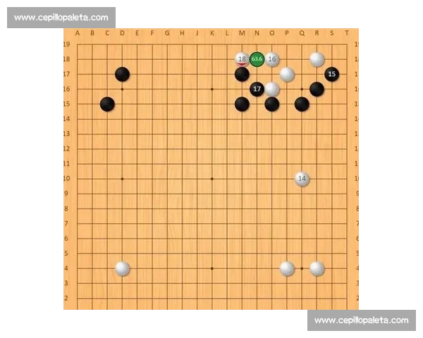 围棋大师赛全程回顾：从棋局布局到战术解析的精彩瞬间