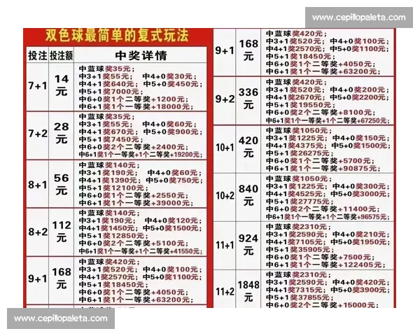 复式投注玩法解析与策略指导全面提升中奖概率方法