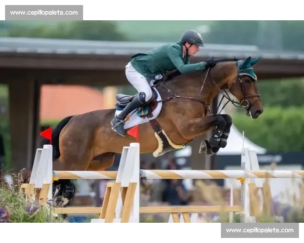 奥运马术赛事精彩纷呈 揭秘赛场背后的技术与激情