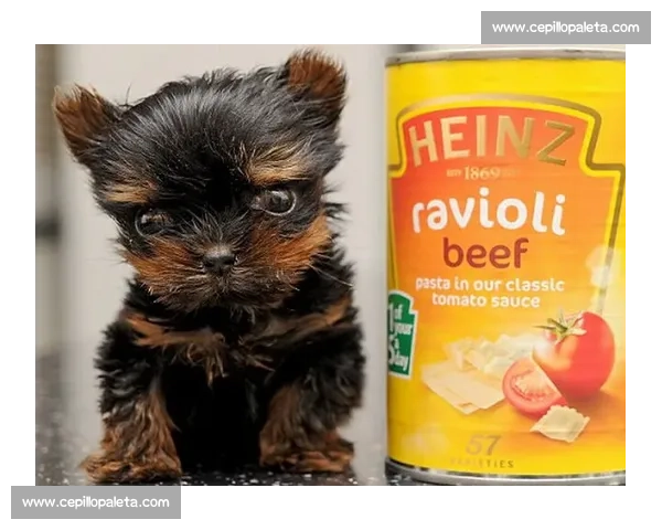 小狗杯比赛：探索萌宠竞技新趋势与精彩瞬间