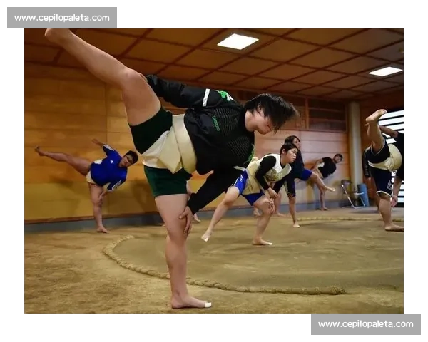 日本女相扑赛事崛起探索女性力量与传统竞技的完美融合