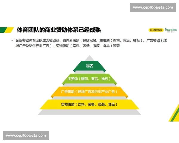 体育平台用户增长策略全解析助力活跃度与粘性双提升